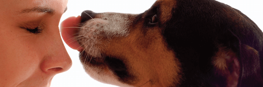 We Care Offers - Parkland Veterinary Hospital